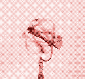 Image: The &ldquo;Energy Ball&rdquo;, a small windturbine from the Netherlands.