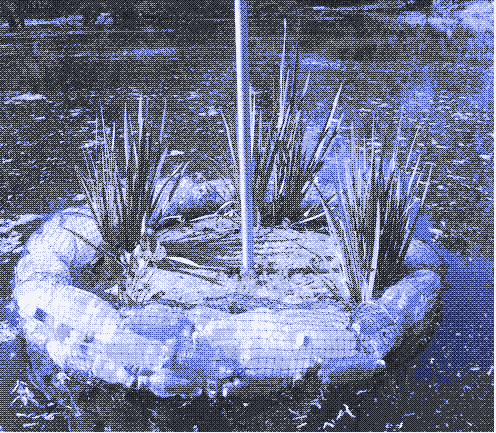Image: A &ldquo;young&rdquo; floating island. As it matures, the plants will grow throughout the plastic fencing
