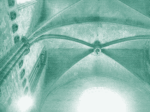Image: Timbrel vaulting in the Santa Maria del Pi, Barcelona.