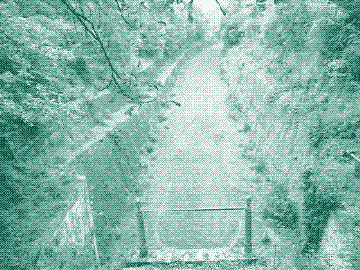 Image: An empty canal.