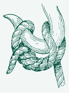 Image: A catspaw.