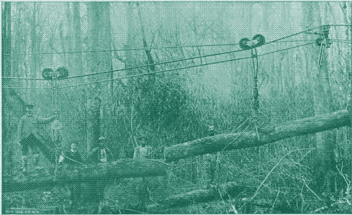 Image: An aerial ropeway for the transportation of logs.
