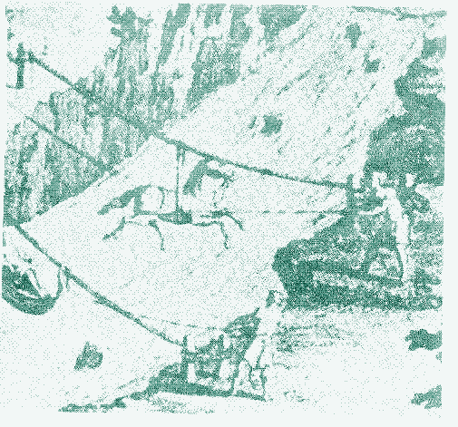 Image: moving animals across a ropeway.