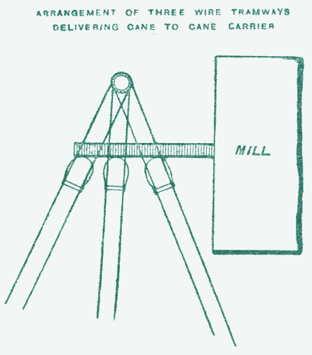 Image: Several wire ropeways driven from the same point discharged on the same cane carrier.
