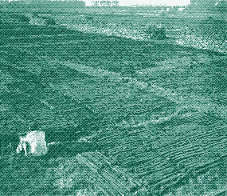 Image: peat mining in Rotterdam, 1918.