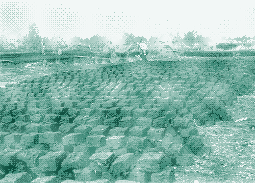 Image: drying peat.