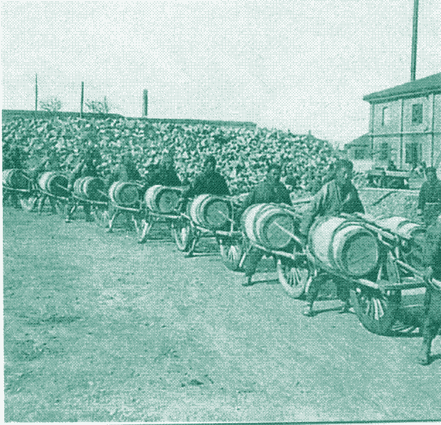 Image: A train of wheelbarrows.