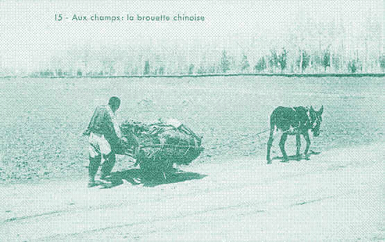 Image: A Chinese wheelbarrow, pushed by a man and pulled by a donkey. Old Postcard.