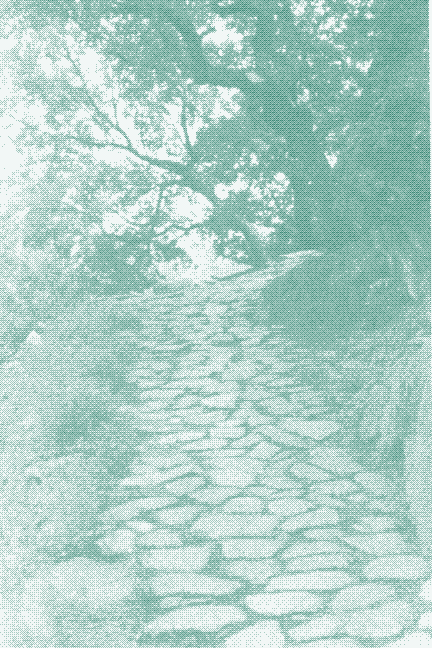 Image: wheelbarrow road. Credit: Joseph Needham.