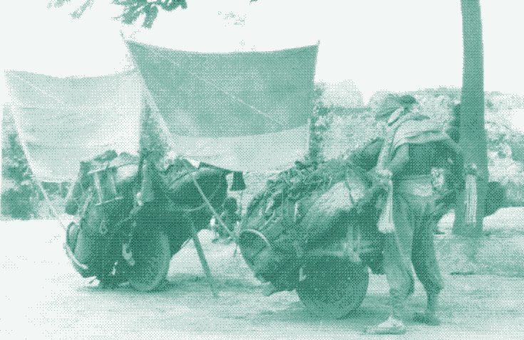 Image: Wheelbarrows with sails, near Xi’an, China, c.1905. John Shields.