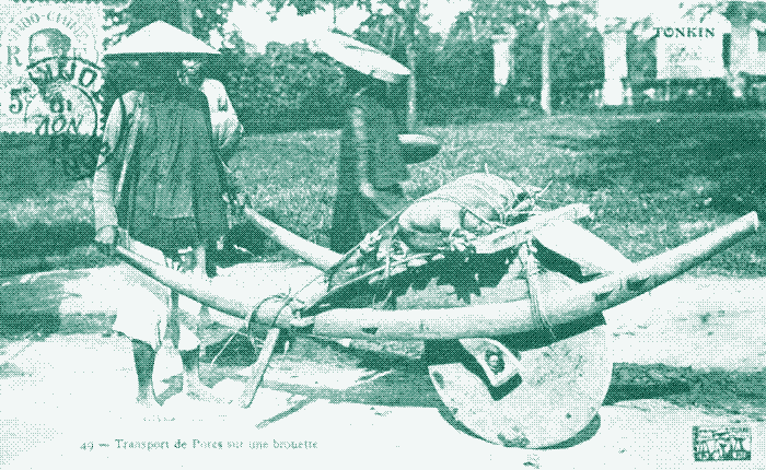Image: A Vietnamese wheelbarrow carrying a pig. Old postcard.