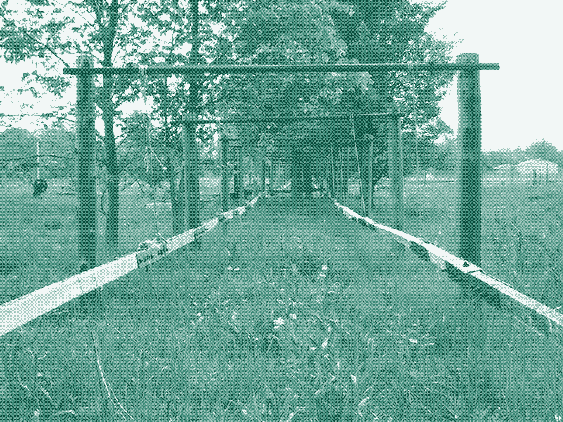 A Stangenkunst in Oil Springs, Ontario, Canada. Image: Markus Wandel.