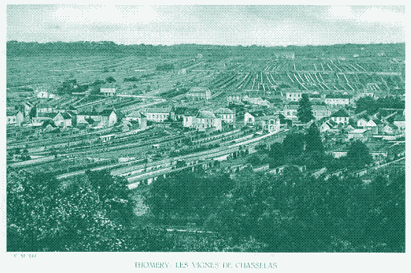 Early 20th century postcard of Thomery, with fruit walls dominating the landscape.