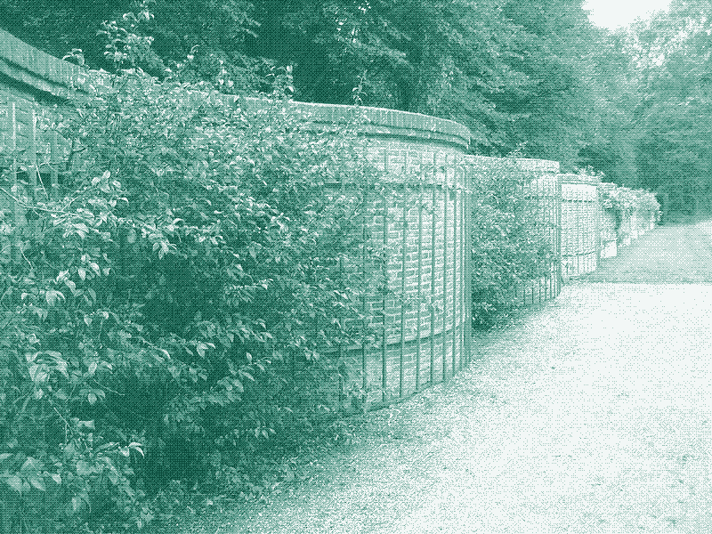 A Serpentine Fruit Wall in the Netherlands. Wikipedia Commons