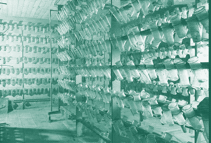 Storage system for grapes in Thomery. Picture: Topic Tops