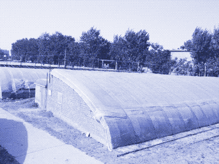 A Chinese solar greenhouse. Picture: Energy Farms