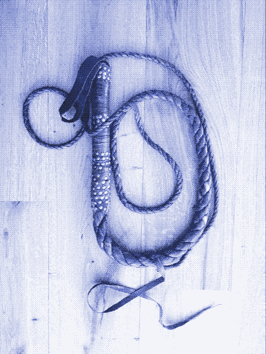 Image: A bull&rsquo;s whip.