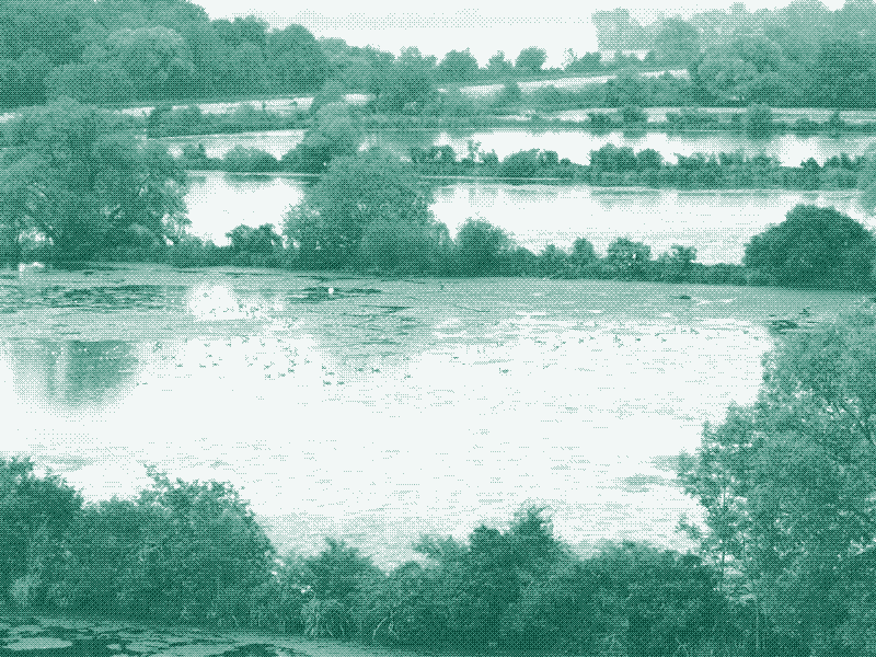 Image: A view of the former sewage-fed aquaculture system in Munich, Germany, today a bird sanctuary. Photo: Peter Schleypen, 2012. Source: Historisches Lexikon Bayerns