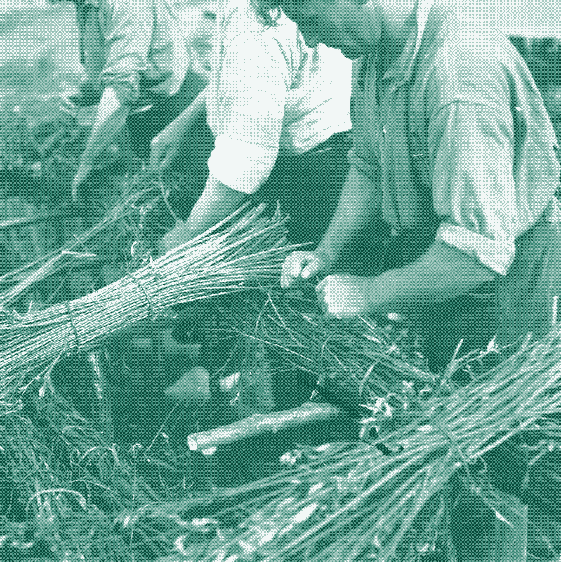 Image: Making fascines, 1945. Unknown photographer / Anefo, CC0, via Wikimedia Commons