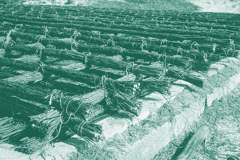 Image: A fascine mattress. By Jan Muijs, Rijkswaterstaat, 1974, CC BY 3.0 nl.