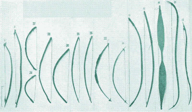 Image: Historical bows from the African continent, showing the large size differences. Source: Leakey, Louis Seymour Bazett. “A New Classification of the Bow and Arrow in Africa.” The Journal of the Royal Anthropological Institute of Great Britain and Ireland 56 (1926): 259-299.