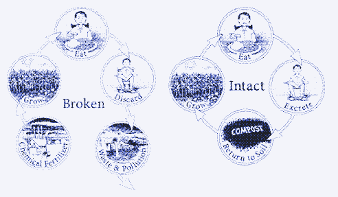 El ciclo de nutrientes. Fuente: Humanure Handbook
