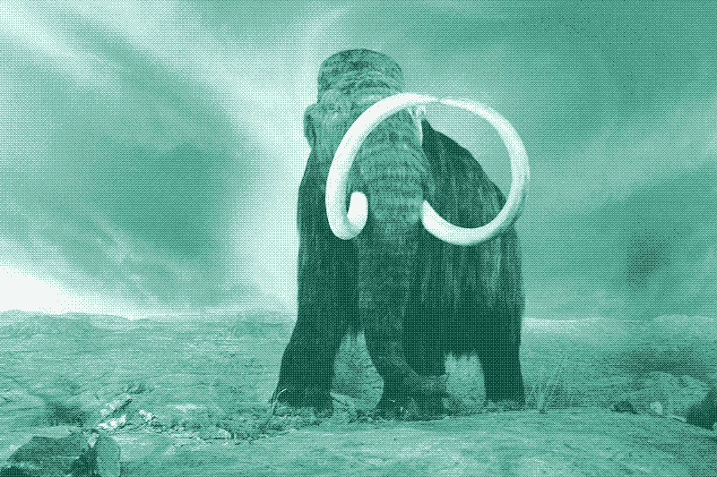Un mamut. Source.