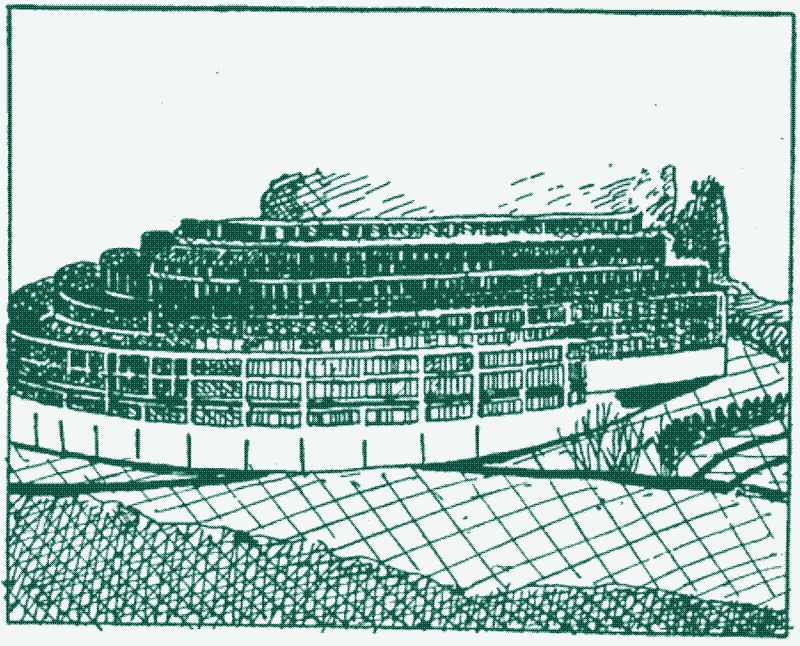 Image: Una Limonaria.
