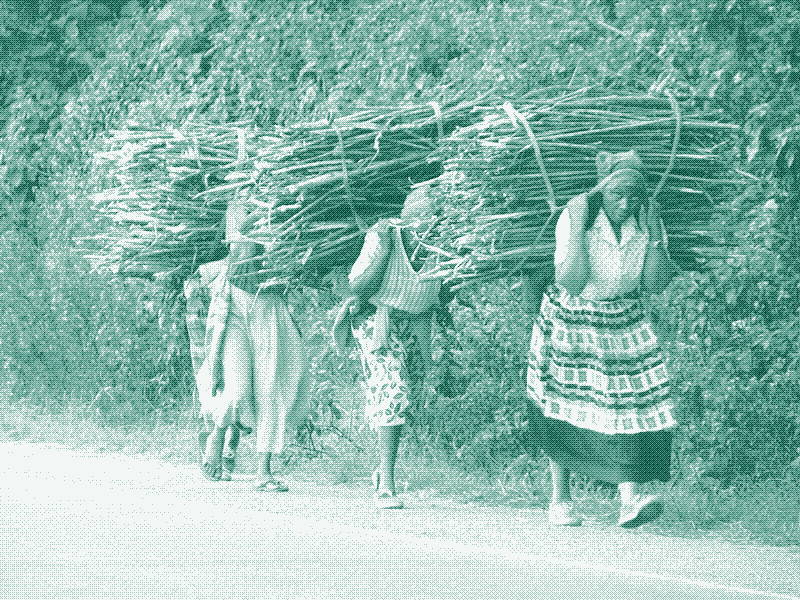 Imagen: Mujer africana transportando leña. (CC BY-SA 4.0)