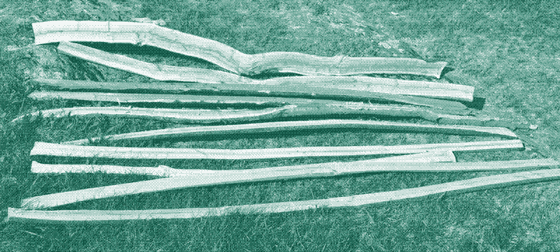 Imagen: Madera recién cortada dividida en estacas para arcos. Fuente: Wikimedia Commons. Image by MartinFields (CC BY-SA 3.0).