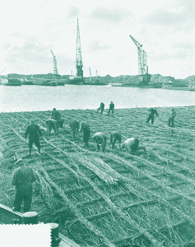 Imagen: trenzando los tapetes de broza, 1956. Harry Pot / Anefo, CC0, via Wikimedia Commons.
