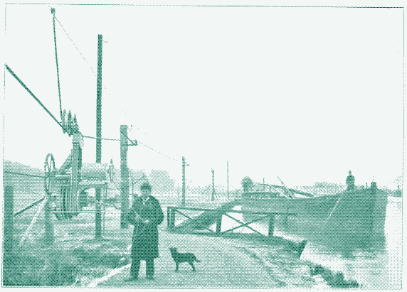 Image : mulet électrique automatique