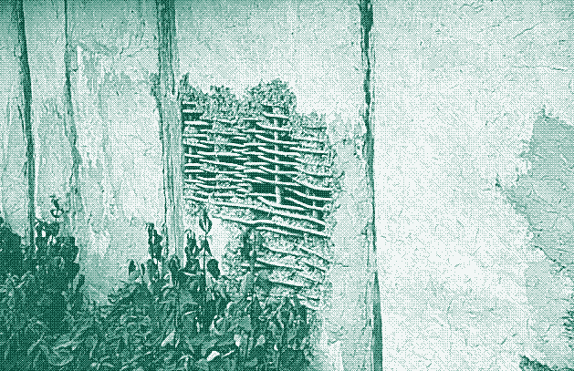 Mur de clayonnage enduit de torchis d&rsquo;une maison belge, 1905 (source).