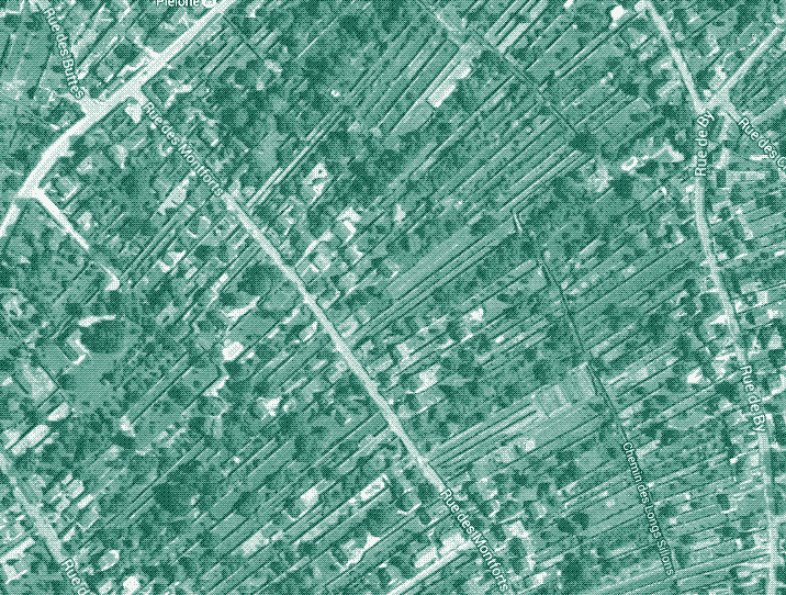 Une partie de la ville de Thomery de nos jours, vue sur Google Maps. Les vieux Murs à Fruits dominent toujours le paysage, les maisons que l’ont voir ont été construites plus tard.