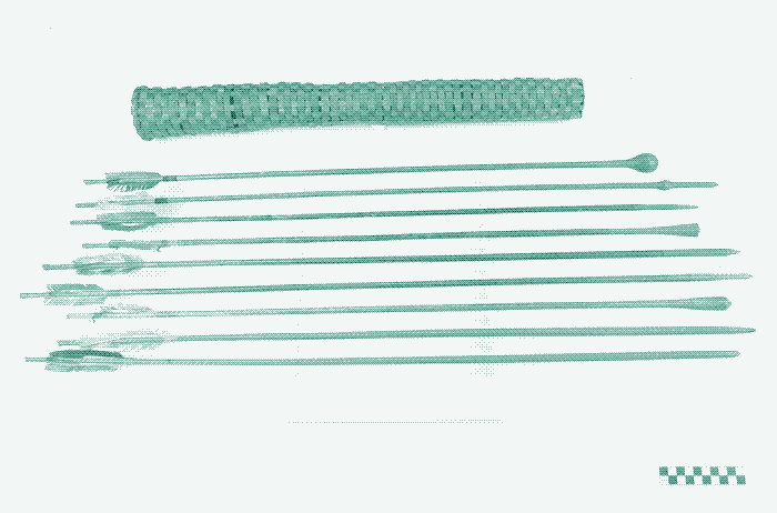 Image : Un jeu de flèches avec des pointes et des embouts en bois. Source : National Museum of the American Indian, Smithsonian