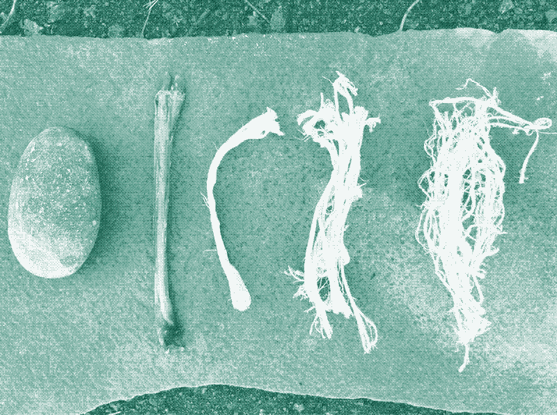 Image : préparation des tendons Source : Making the sinew-backed bow, Jeff Martin, Primitive Lifeways.