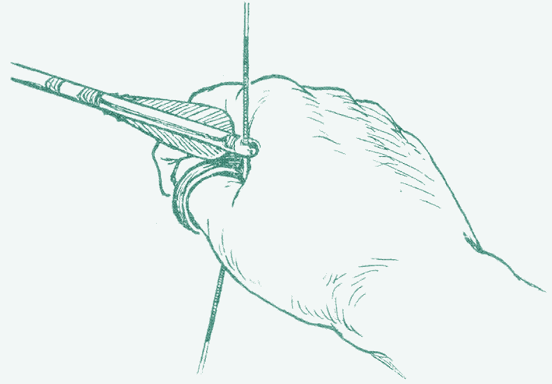 Image : Le tirage au pouce Source : Klopsteg, Paul Ernest. « Turkish archery and the composite bow: a review of an old chapter in the chronicles of archery and a modern interpretation. » (Le tir à l’arc turc et l’arc composite : critique d’un ancien chapitre dans l’histoire du tir à l’arc et une interprétation moderne) (1947).