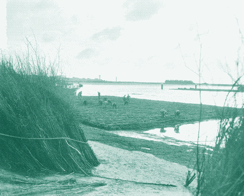 Afbeelding: Het maken van een zinkstuk, Haringvliet, 1956. Publiek domein.