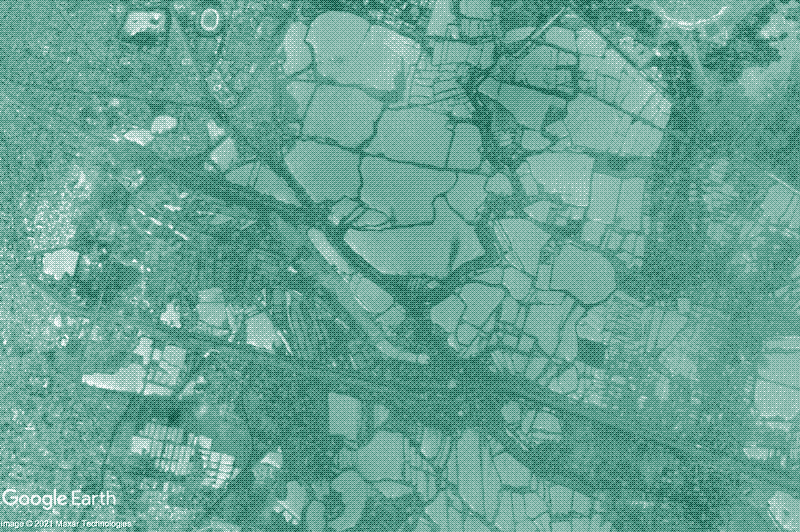 Grafika: Mokradła Wschodniej Kolkaty w 2005. Źródło: Google Earth.